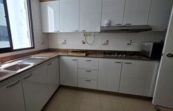 Central Green Condominium (D3), Condominium #501175441